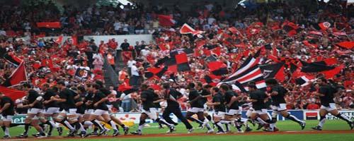 supporters du stade toulousain